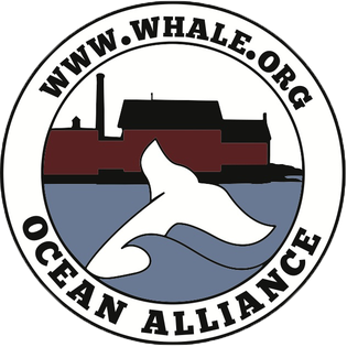 Ocean_Alliance_Logo